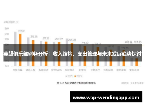 英超俱乐部财务分析：收入结构、支出管理与未来发展趋势探讨
