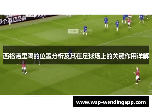 西格诺里踢的位置分析及其在足球场上的关键作用详解
