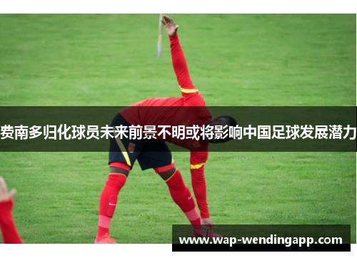 费南多归化球员未来前景不明或将影响中国足球发展潜力