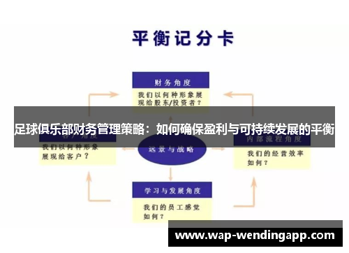 足球俱乐部财务管理策略：如何确保盈利与可持续发展的平衡
