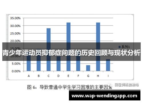 青少年运动员抑郁症问题的历史回顾与现状分析 青少年运动员抑郁症问题的历史回顾与现状分析